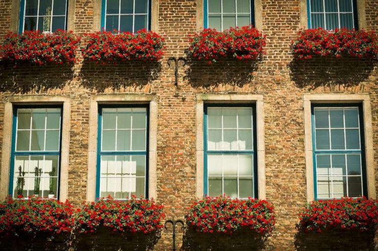 Sash Windows London (3)