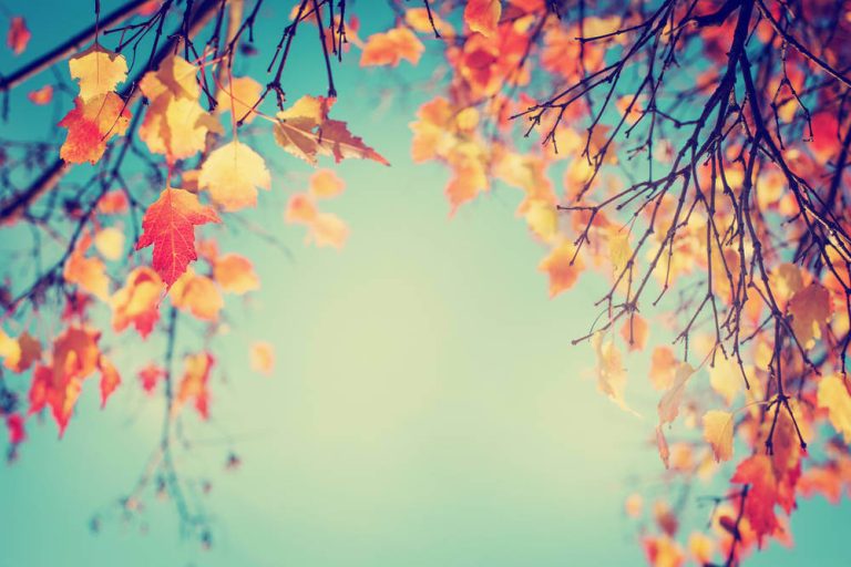 Get your home ready for autumn