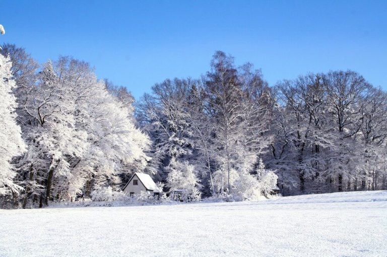 Check your sash windows before winter