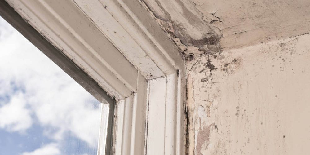 rotten-window-frame rotten-window-frame