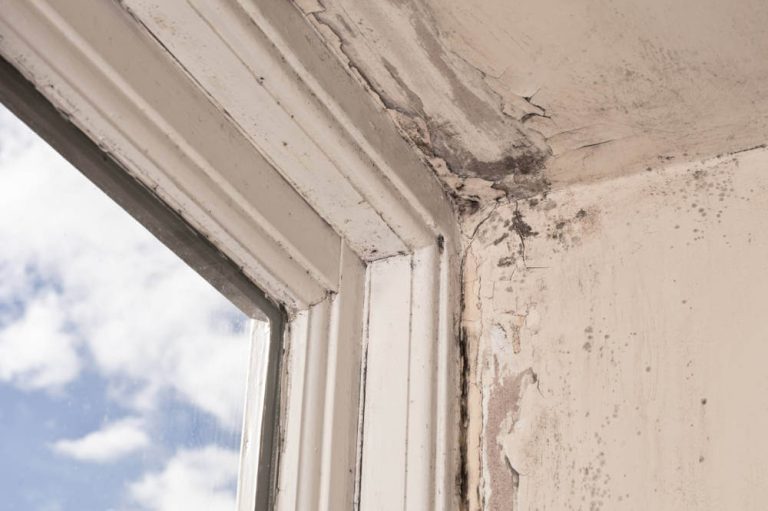 rotten-window-frame