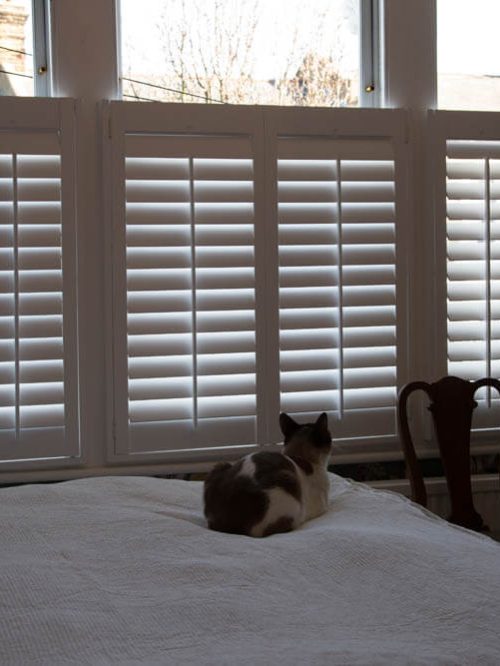 Crofton Road case study