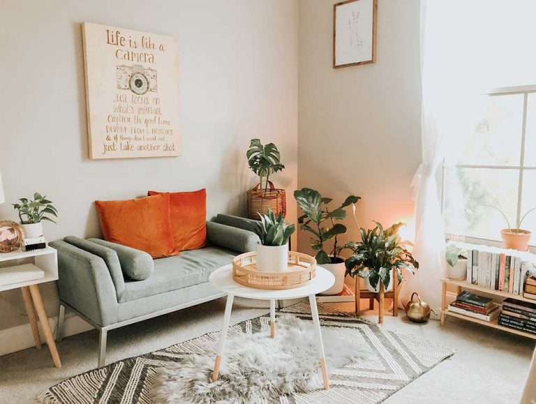 House plants