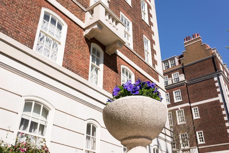 sash-window
